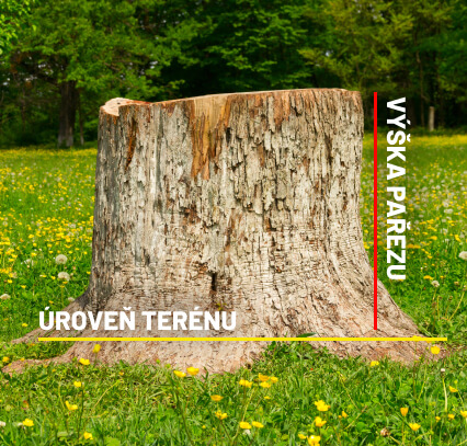  Ceník frézování pařezů